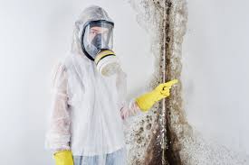 Why You Should Choose Our Mold Remediation Services in Liberty, UT